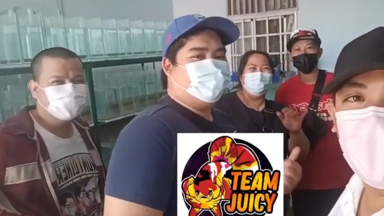 BETTA SHOW BENCH IN/OUT WITH TEAM JUICY🧀🤙 YouTube