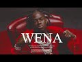 “WENA” King Promise x Shallipopi Amapiano Type beat | Afrobeat Instrumental 2024 Free