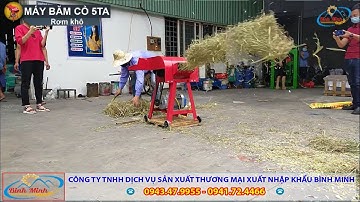 Máy Băm Cỏ Đa Năng 5TA Năng Suất Đến 500Kg Mỗi Giờ