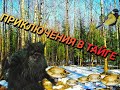 ГРУЗДИ В АПРЕЛЕ - НОВЫЙ ПОХОДНЫЙ КОТЕЛОК