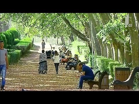 ვაკის პარკის რეაბილიტაციის სადავო პირობები