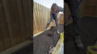 Who Loves These Trees