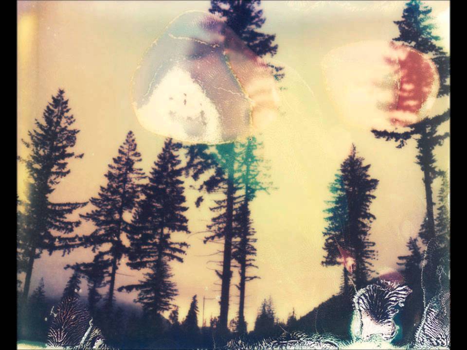 Sergey Suokas-Friendly Forest