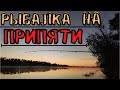 Рыбалка в Июне на реке Припять! |06.06.2022г.|