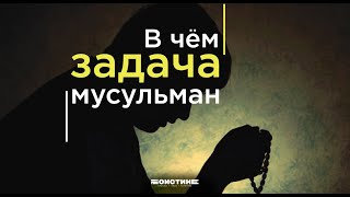 Гейдар Джемаль о стратегии мусульман