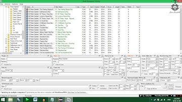 Bulk Rename Utility - Delete Extra Letters etc.