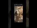 Son of God Became Son of Man | Powerful Gospel Message 🤍