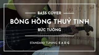 Video thumbnail of "Bông Hồng Thuỷ Tinh - Bức Tường - Bass Cover Có Tab"