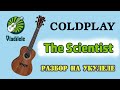 COLDPLAY - THE SCIENTIST разбор на укулеле