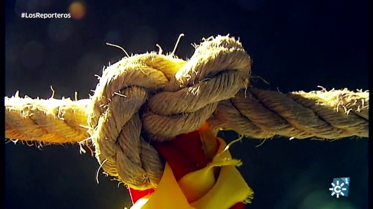 Los reporteros | Isla Mayor. ¿Qué está pasando en Cataluña?. Vivir de las letras.