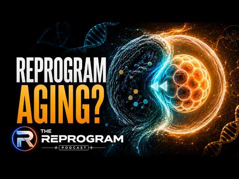 Can We Reprogram Aging? Epigenetics, Cell Identity & the Future of Rejuvenation | Dr. Jose Polo