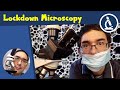 🔬 136 - TEN THINGS to look at under the Microscope when STUCK AT HOME  | Amateur Science