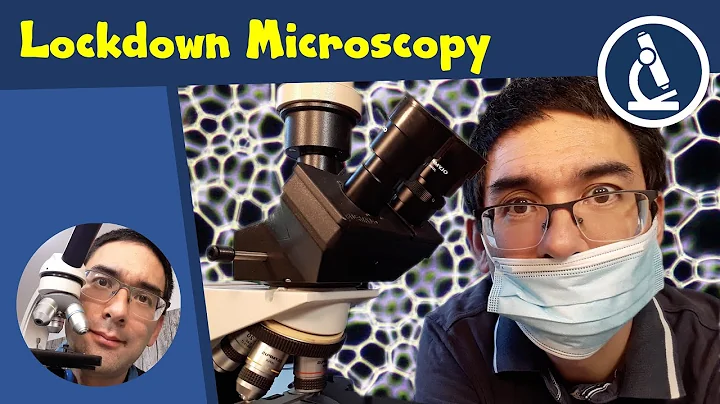 🔬 TEN THINGS to look at under the Microscope when STUCK AT HOME  | Amateur Science