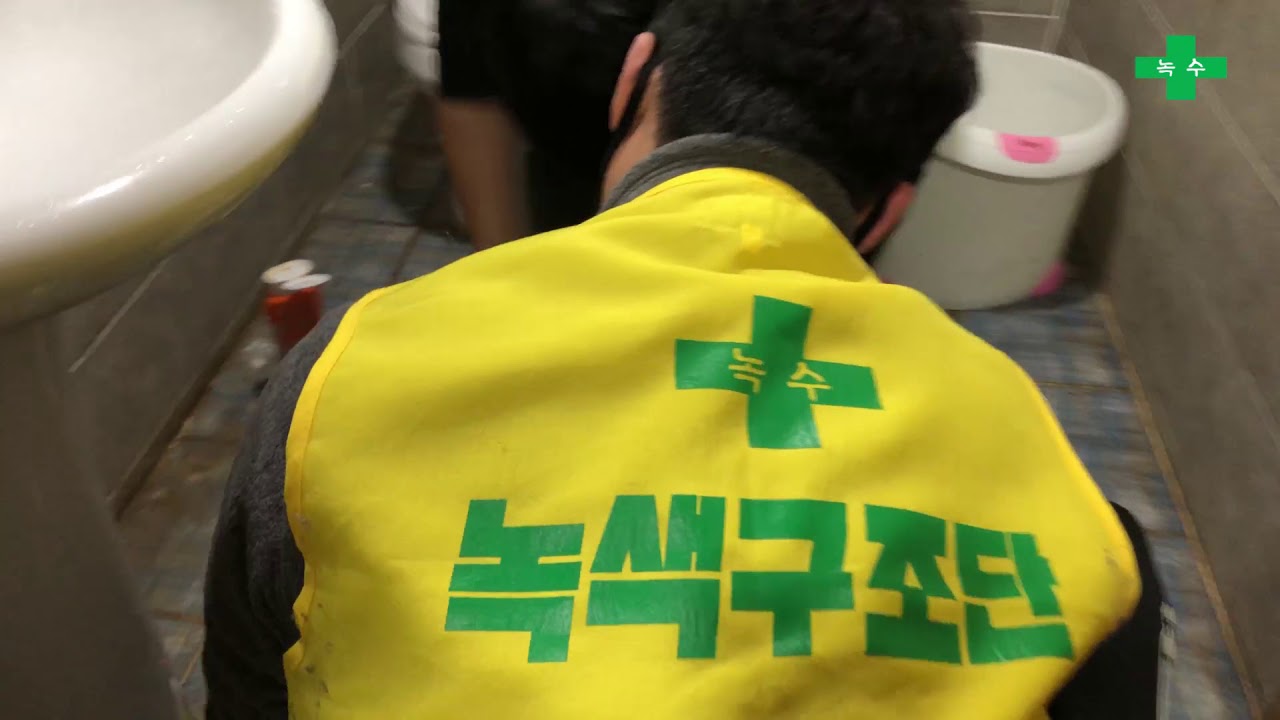 녹색구조단 유기견봉사