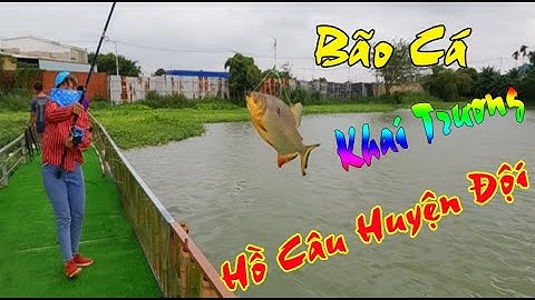 Bão Cá Ngày Khai Trương Hồ Câu Huyện Đội Hóc Môn