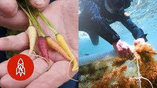 Five Farms on Earth (and the Ocean Floor)