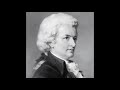Wolfgang Amadeus Mozart - Symphony No. 40 In G Minor, K. 550 Molto Allegro