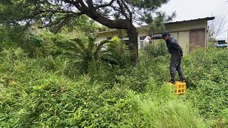 【除草】田舎の家に除草剤撒いてきました