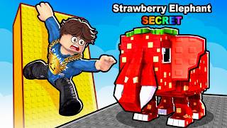 PARKOUR FOR BRAINROTS.. Information