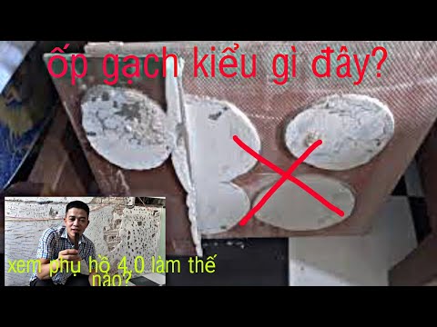 Video: Gạch ốp lát bong tróc có làm hỏng tường không?