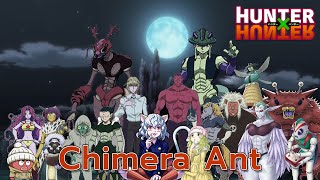 คิเมร่า แอนท์ มดสายพันธุ์มรณะจากโลก HxH
