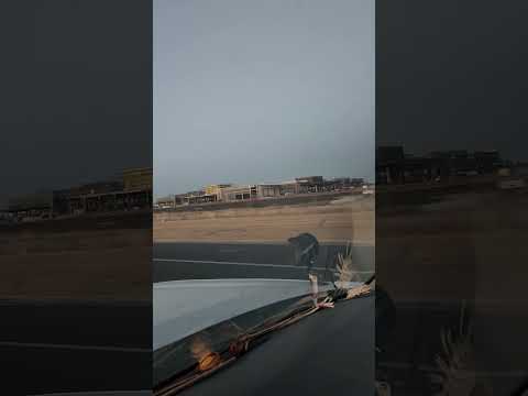 Cosas paranormales 2 desde el casino del diablo