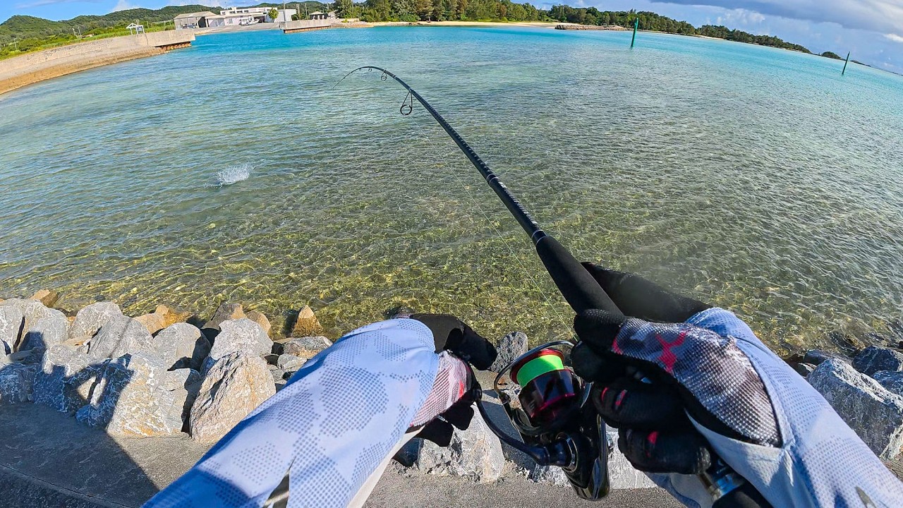 Ловля леща на поверхностные приманки типа «банан»! 🍌