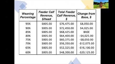 Economics of Reproductive Efficiency