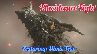 Finally Beating Placidusax With Mimic Tear
