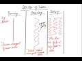 MCAT 21 Biology: Biological molecules, protein, carbohydrates, lipids and nucleic acid