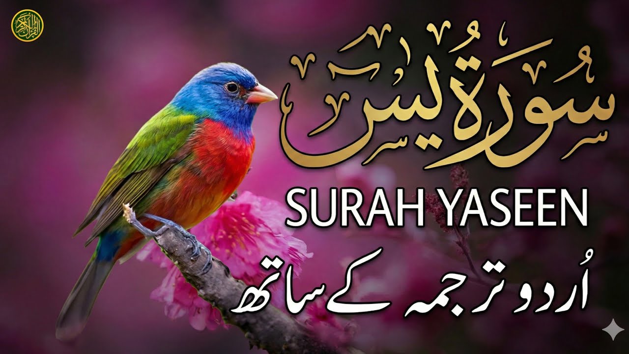 Surah Yaseen (سورة يس) - Beautiful Recitation with Urdu Translation | Qari Mansoor Ghaznavi | EPs 30