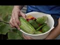 How Penn State Health & Chestnut Street Community Center Are Fighting Food Insecurity in Lebanon, PA