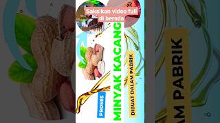 Proses Membuat Minyak Kacang || Minyak Selera Orang Kaya #teknologi #agroindustri