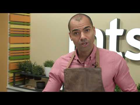 MTS_110915.mov.. 