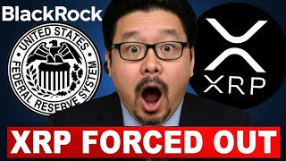 Blackrock And The Fed Just Activated Xrpheres What Happens Next