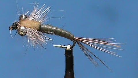 Fly Tying for Beginners a Deer Creek Nymph with Jim Misiura