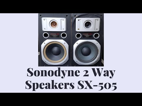 Sonodyne 2 Way Speakers SX-505 How To Use Price And Connection IN HINDI 9811204032/ 9717618838