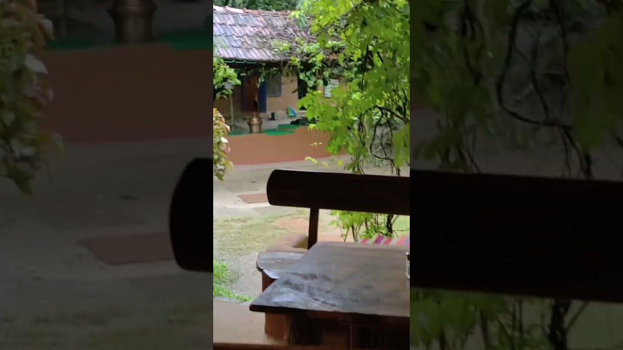 resort view/ kyari village ramnagar/ Corbett National park/peaceful environment/fresh mood/uttrakh..