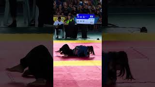 As meninas não estão pra brincadeira mesmo! #bjj #jiujitsu #judolife #judo #muaithay #bjjlifestyle