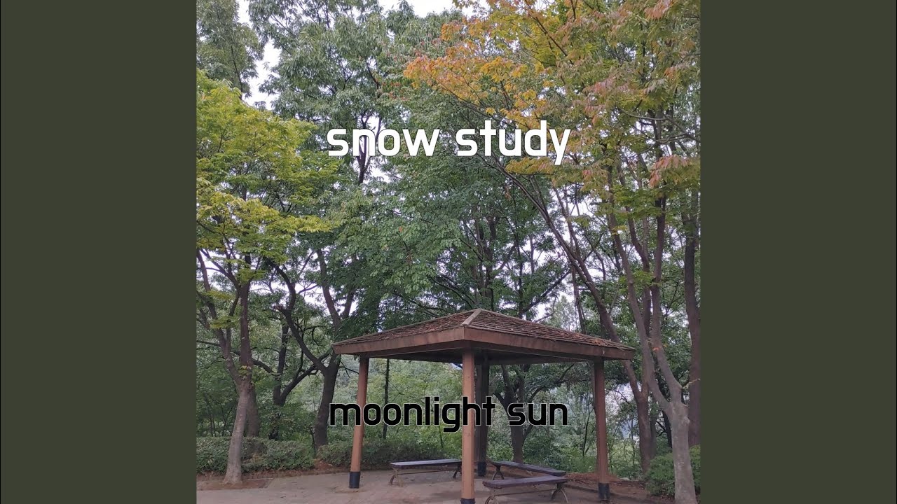 snow study - YouTube