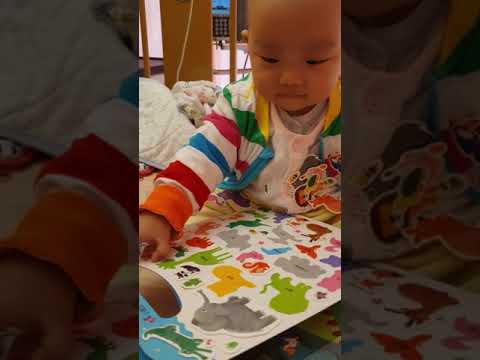 【抗癌日記Day174 part3】樂樂貼紙不黏頭 改貼衣服也順手😆