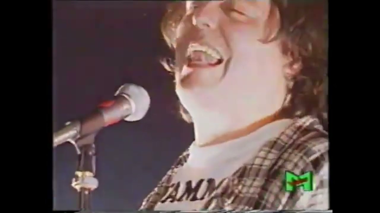 SKIANTOS - La Bestia - LIVE Videomusic