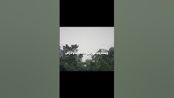 سورة آل عمران | ‏محمد أيوب. #اكسبلور #fpy #explore
