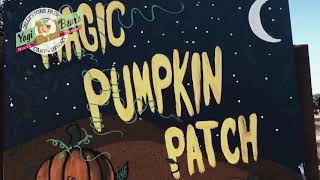 Visit the Magic Pumpkin Patch at North Texas Jellystone Park™