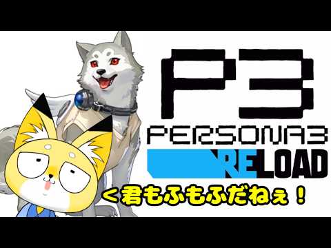 【P3R】コロマルまだ出てこないの…？　 #新人vtuber #雑談の配信サムネイル