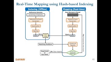 Introduction to Real-Time Raw Nanopore Signal Analysis: RawHash and RawHash2 | Sabanci University