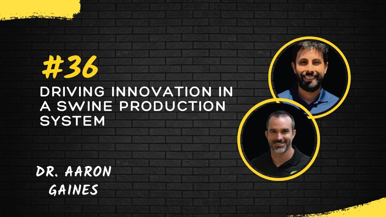 Dr. Aaron Gaines: Driving Swine Innovation | Ep. 36