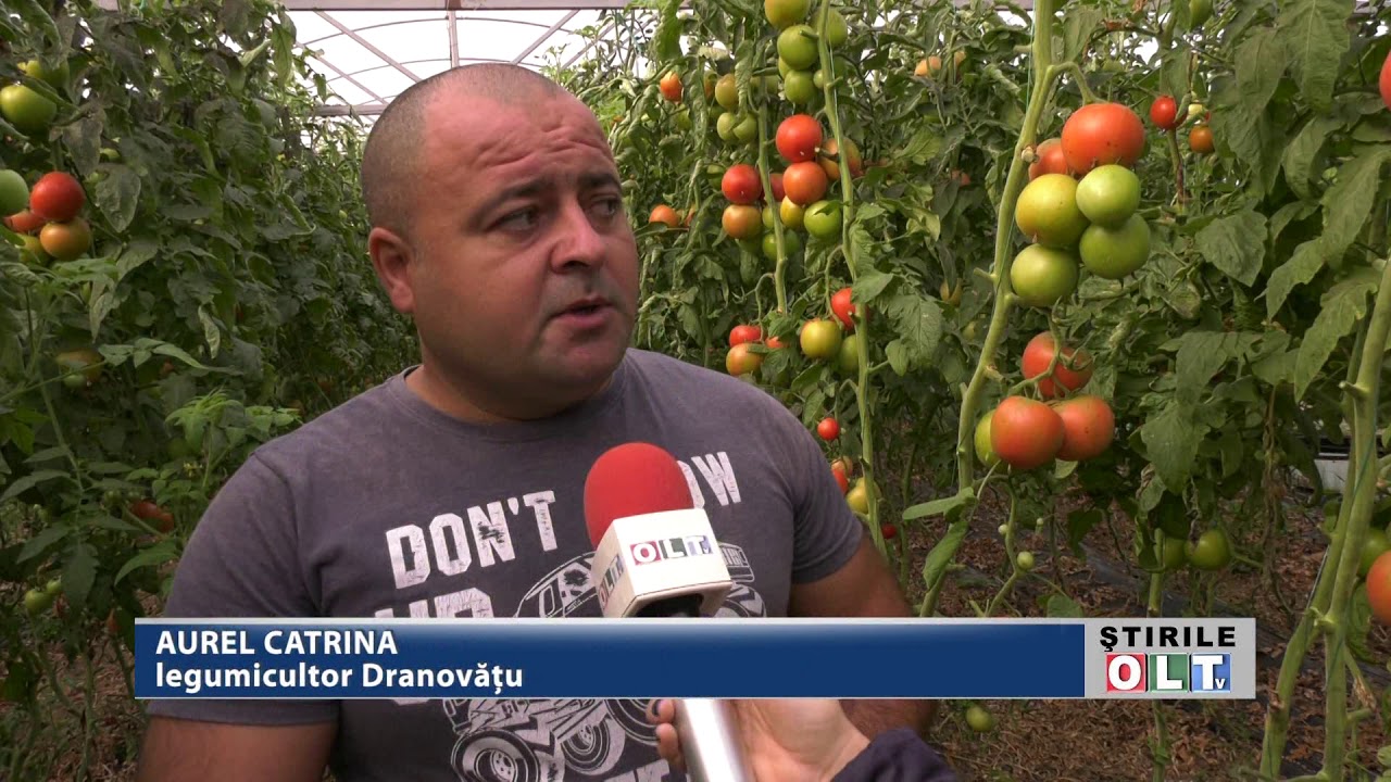 ROSIILE II ADUC PROFIT SI IARNA 0611