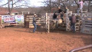 Black Boot Bucking Bulls 11512