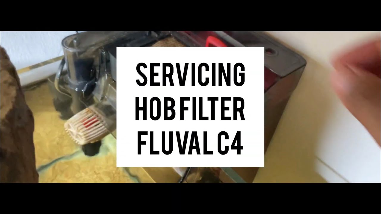 Servicing Hang on back filter Fluval C4 YouTube